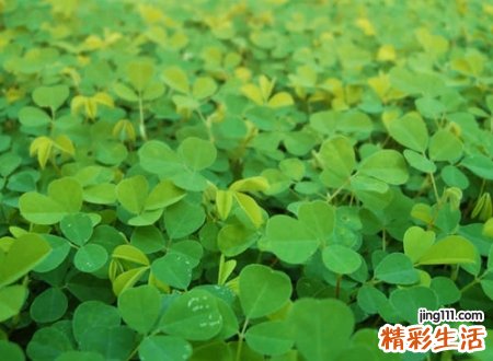 带锦字的名字