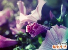 带昊字100分的名字