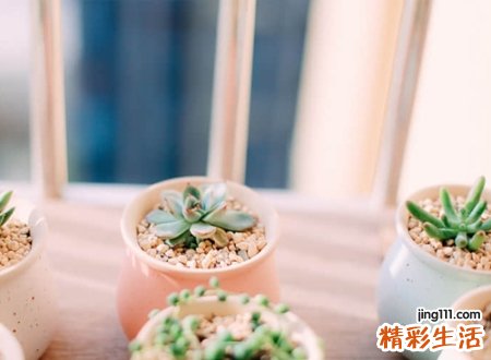 带米的名字