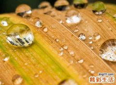 搞笑又长又拗口的名字