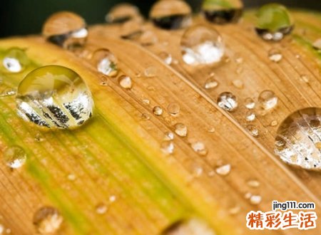 搞笑又长又拗口的名字