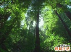 搞笑的名字网名