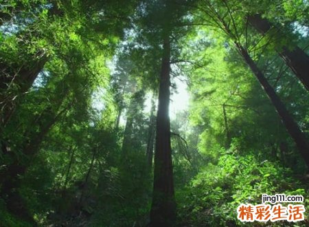 搞笑的名字网名