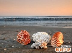 好听的群名称大全