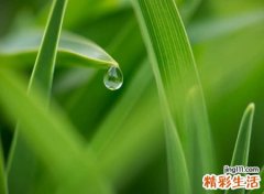 好看的网名搭配符号