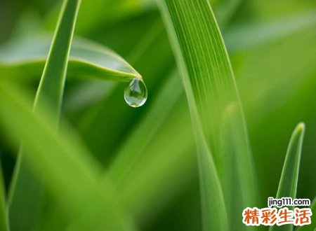 好看的网名搭配符号