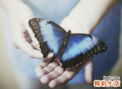 有创意的微信名