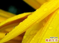 成熟稳重有内涵的网名