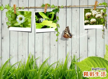 好听qq网名