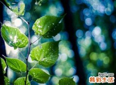 qq昵称伤感版