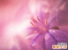 火山最吸引人昵称