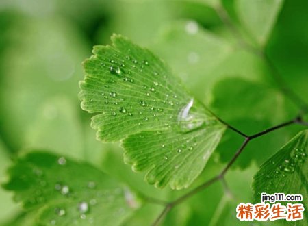 相爱却不能相守的网名