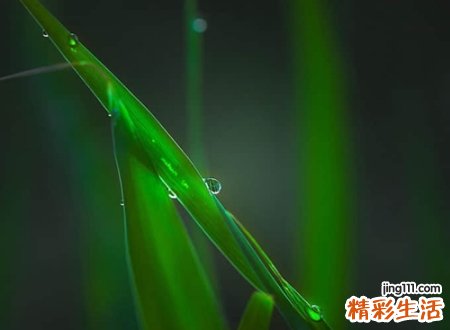 古风虐心凄美网名