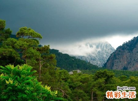 低调的昵称