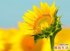 励志的微信昵称