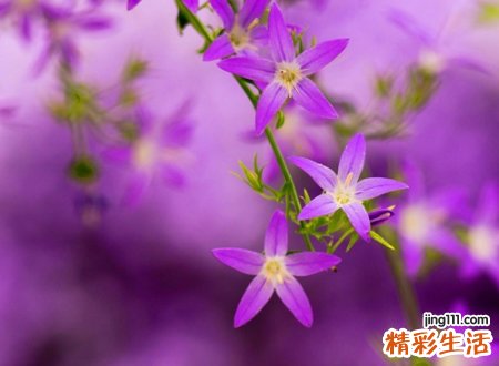 qq群名大全