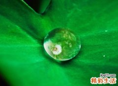 六个字名字微信版