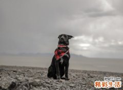 2021最帅气的网名