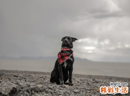 2021最帅气的网名