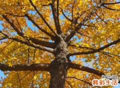 2021最有个性的微信名