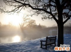 2021最吸引粉丝快手网名