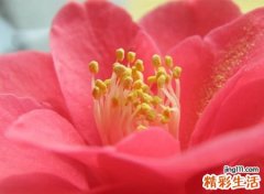 带然的满分名字