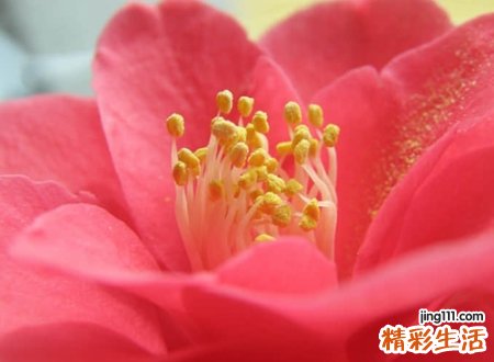 带然的满分名字