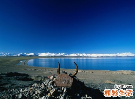 带土的字