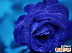 姓薛寓意好的名字