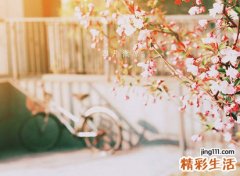 木子旁的字