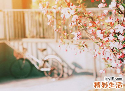 木子旁的字
