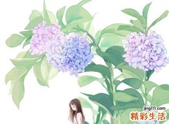 好听的名字两个字版