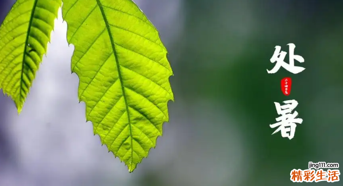 2022处暑是什么季节 处暑是几月几号2022