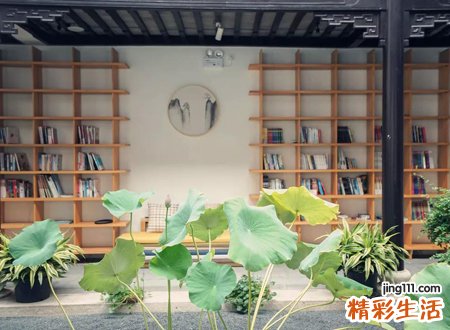 独特好听的姓夏的名字