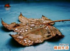 禅意韵味的网名