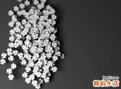 心死后重生网名