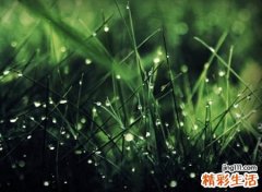 古风唯美的qq名字