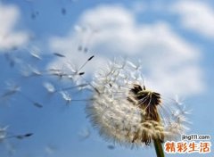 充满诗意的名字