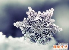 大彻大悟的网名