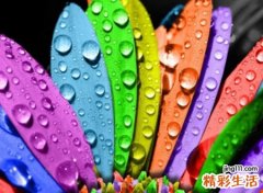 短又好听的网名