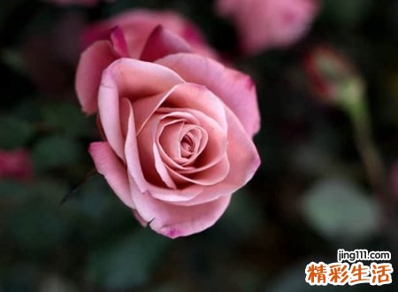 古风诗意的网名