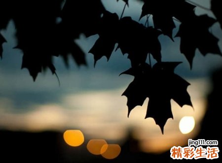 守望先锋名字
