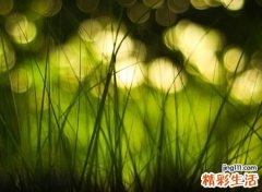 二字古风网名