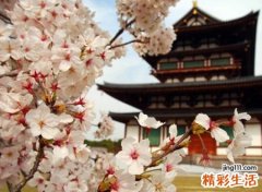 可爱仙气的网名