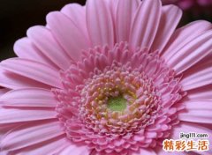 寻找真爱的网名