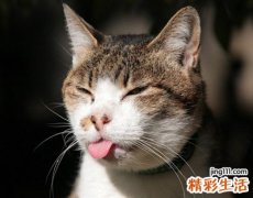 搞笑群昵称