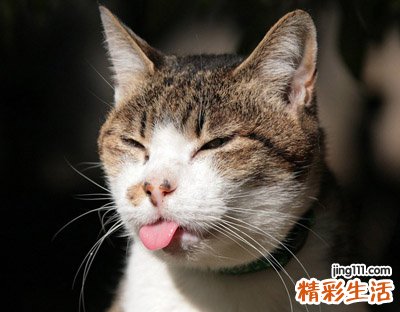 搞笑群昵称