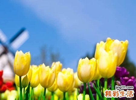 从新开始的网名