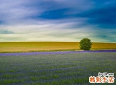 表达遗憾的网名