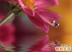 深情的名字